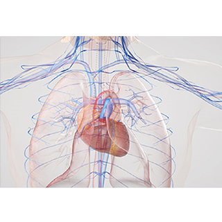 Implantable Medical Devices